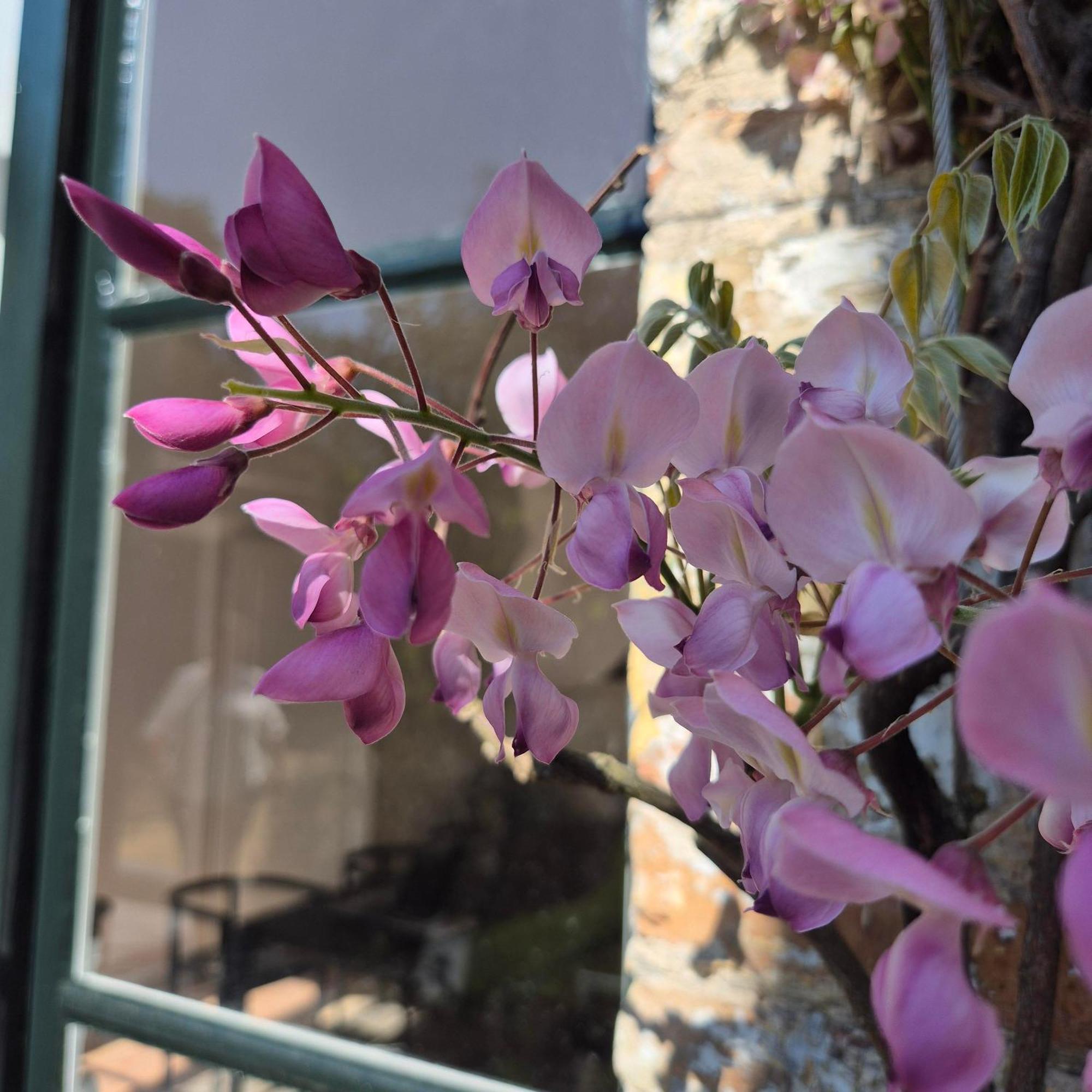 Boutique Everelmus Bed & Breakfast